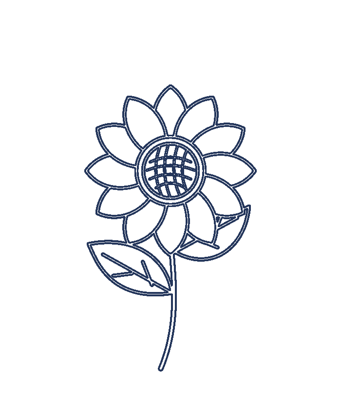 Sunflower outline produced by Linefelt's outline processor